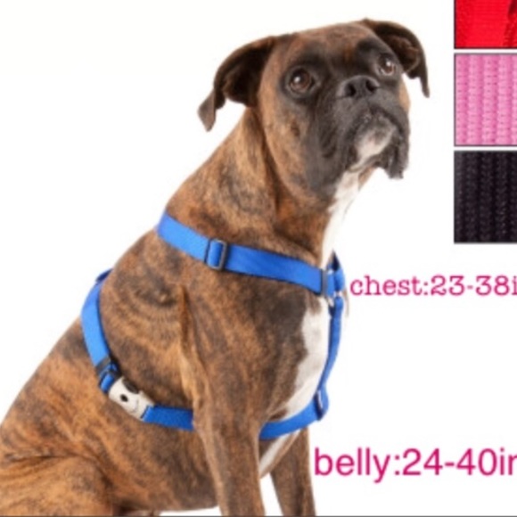 top paw harness
